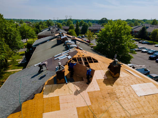 Trusted Flat Roof Repair service in Woolford, MD - Brentwood Metal Roofing